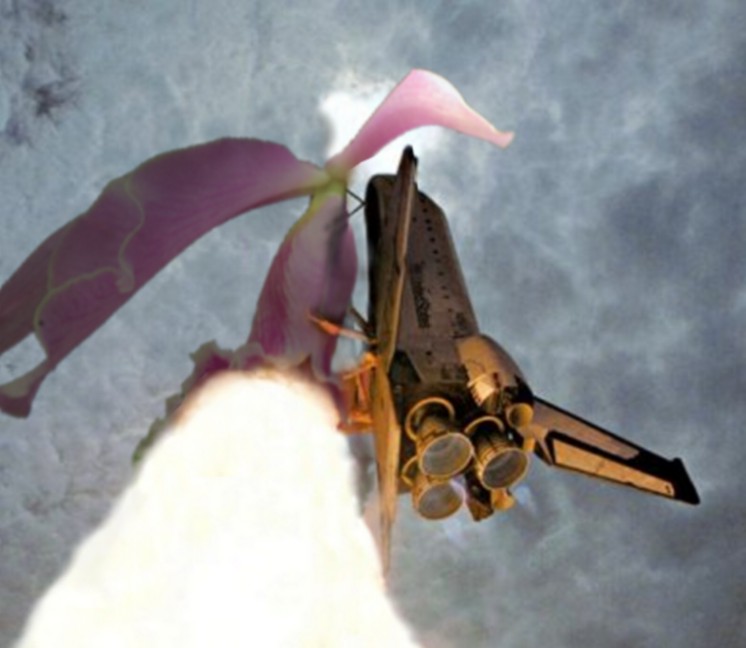 Photoshop-Design von MADXTAR für DesignCrowd (Community Contests) | Design #9010510