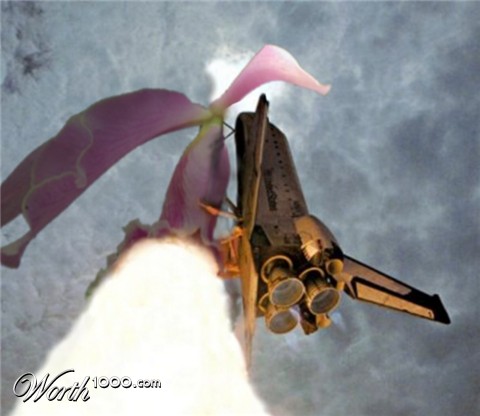 Photoshop Design by MADXTAR