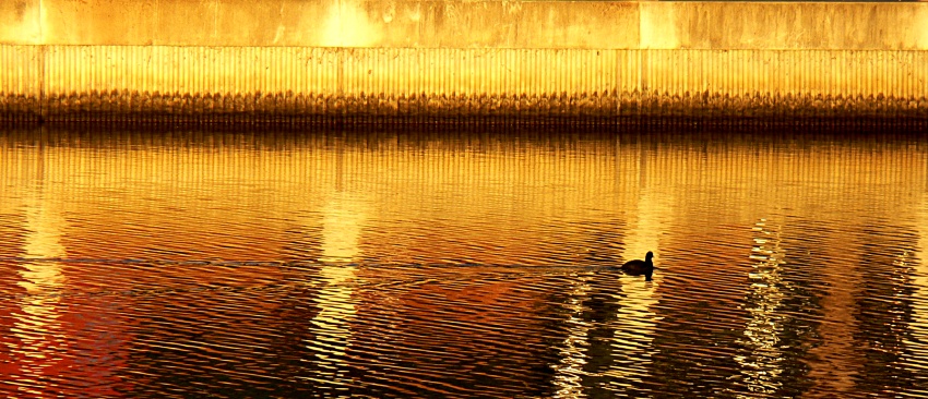 Photography by politas for DesignCrowd (Community Contests) | Design #9006549