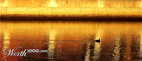 Photography by politas