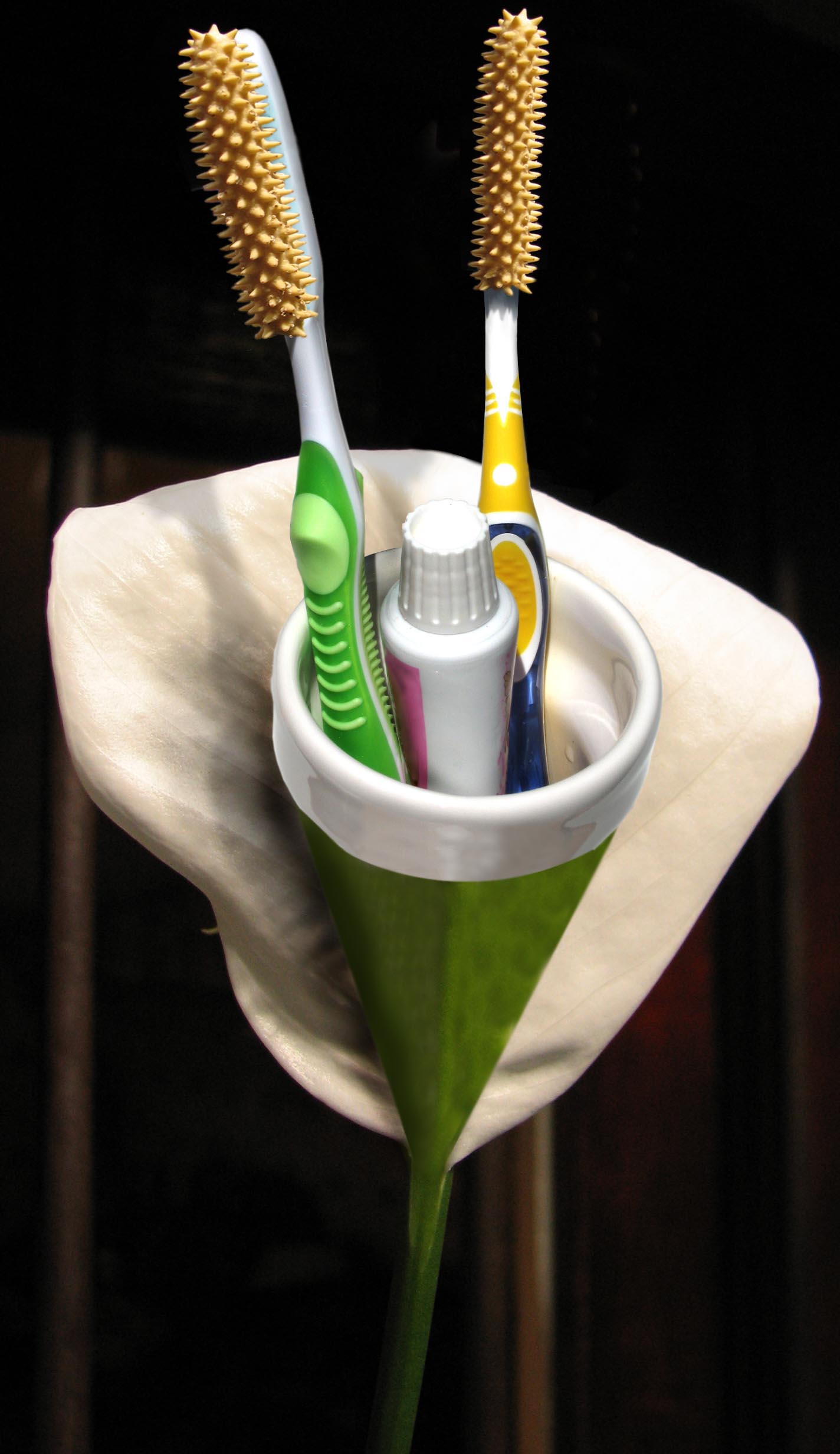 Diseño de Photoshop por Sankrah para DesignCrowd (Community Contests) | Diseño #9010527