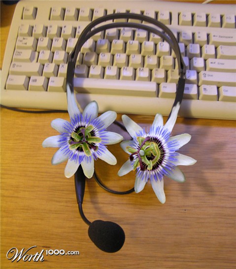 Photoshop Design by SamZed