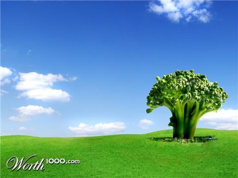 Photoshop Design by AdrianoScuds