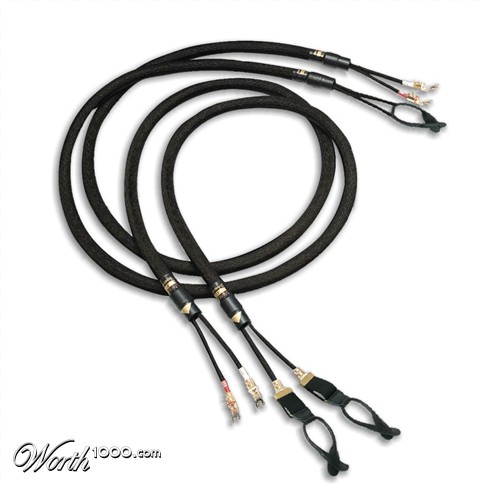 Photoshop Design by Fishwife