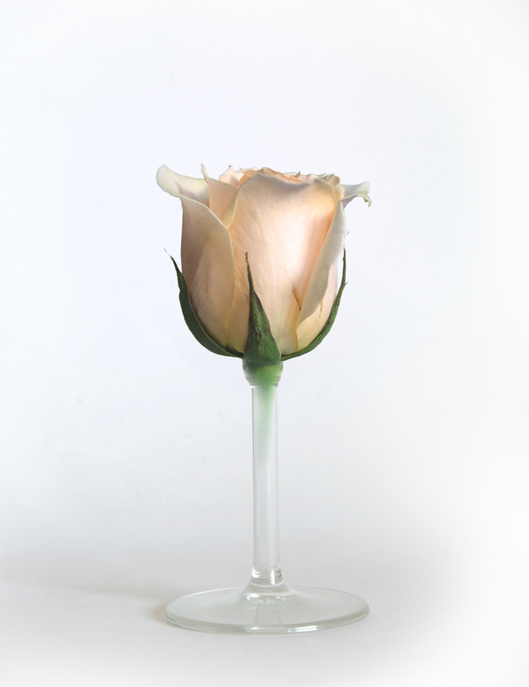 Photoshop Design by resquin for DesignCrowd (Community Contests) | Design #9010582