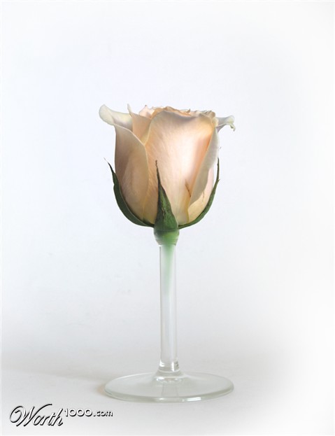 Photoshop Design by resquin