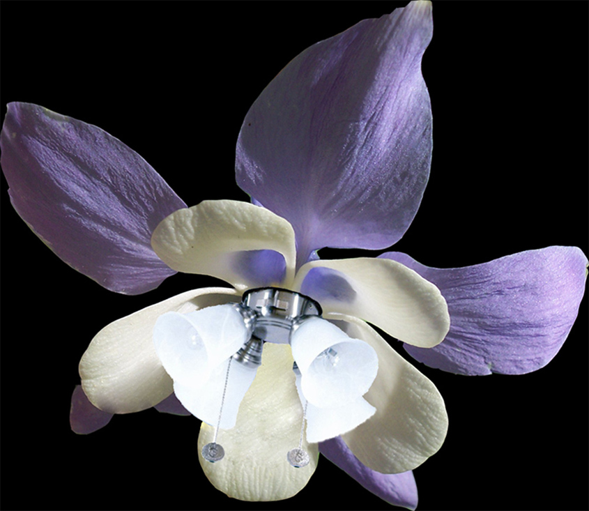 Photoshop Design by sgtledbetter for DesignCrowd (Community Contests) | Design #9010603