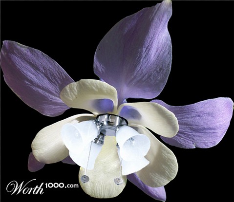 Photoshop Design by sgtledbetter