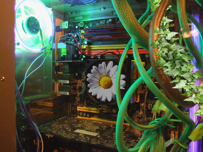 Photoshop Design by frogfreak99 for DesignCrowd (Community Contests) | Design #9010621