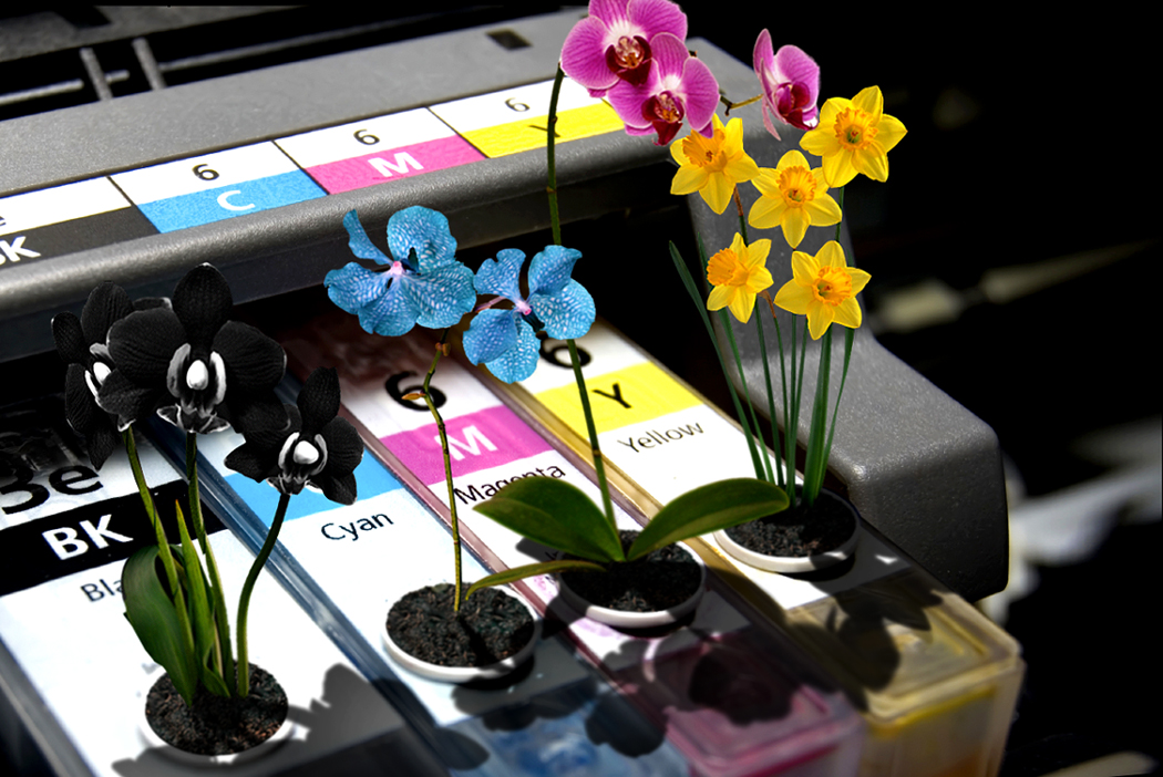 Photoshop Design by a17rwk for DesignCrowd (Community Contests) | Design #9010587