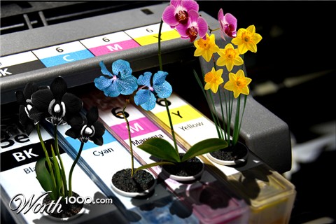 Photoshop Design by a17rwk