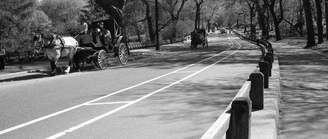 Photography by kelaltieri for DesignCrowd (Community Contests) | Design #9006596