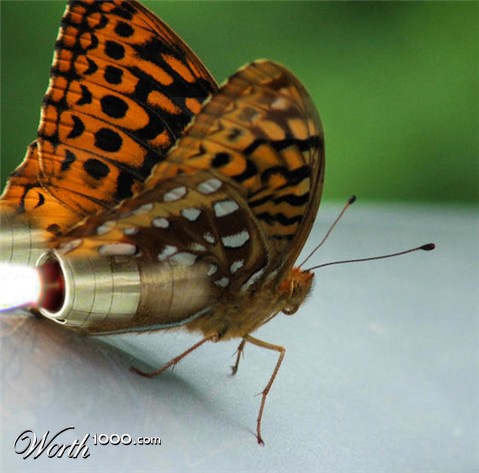 Photoshop Design by sreeram