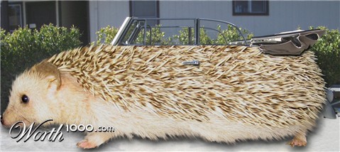 Photoshop Design by JClark8220