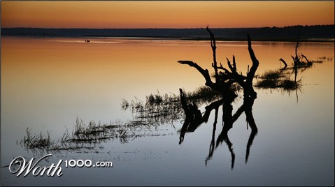 Photography by Juicer