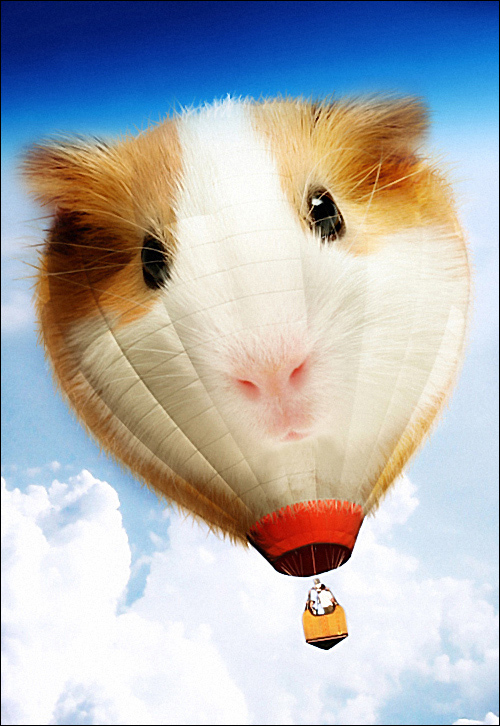 Photoshop Design by Flimzer for DesignCrowd (Community Contests) | Design #9014444