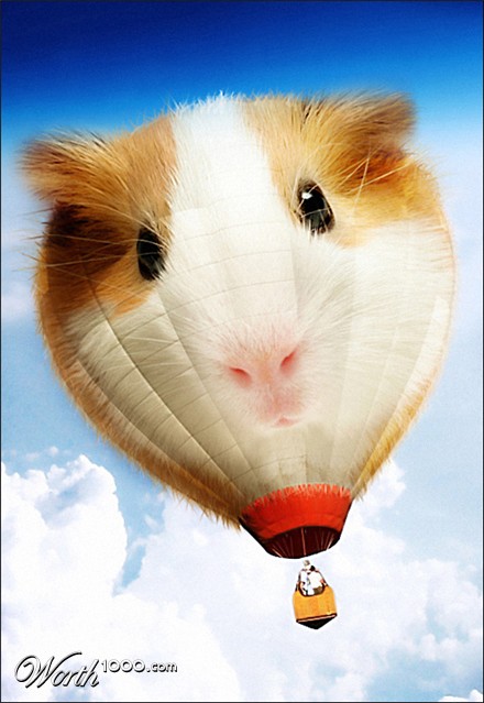 Photoshop Design by Flimzer