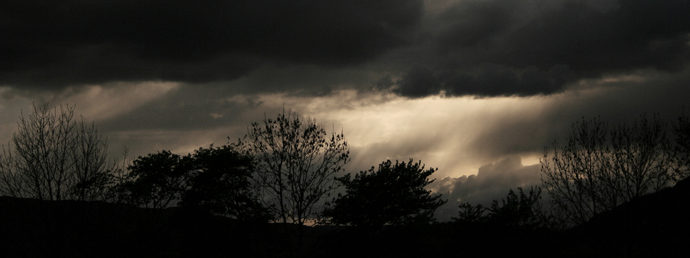 Photographie par Massie pour DesignCrowd (Community Contests) | Design #9006630