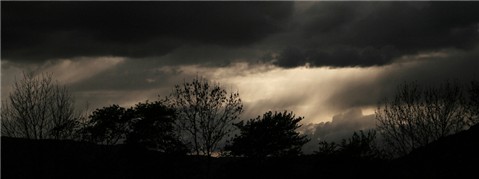 Photography by Massie