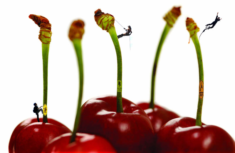 Photoshop-Design von flipdakje für DesignCrowd (Community Contests) | Design #9010565