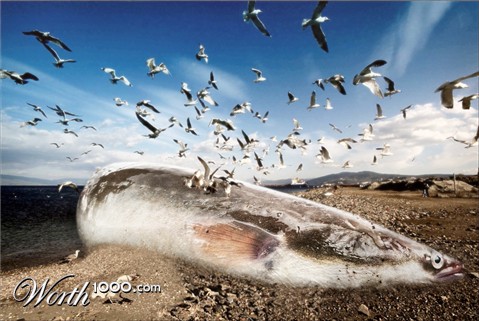 Photoshop Design by Theyounglust