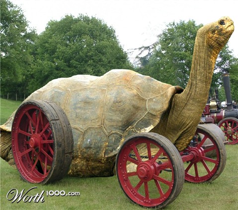 Photoshop Design by Fishwife