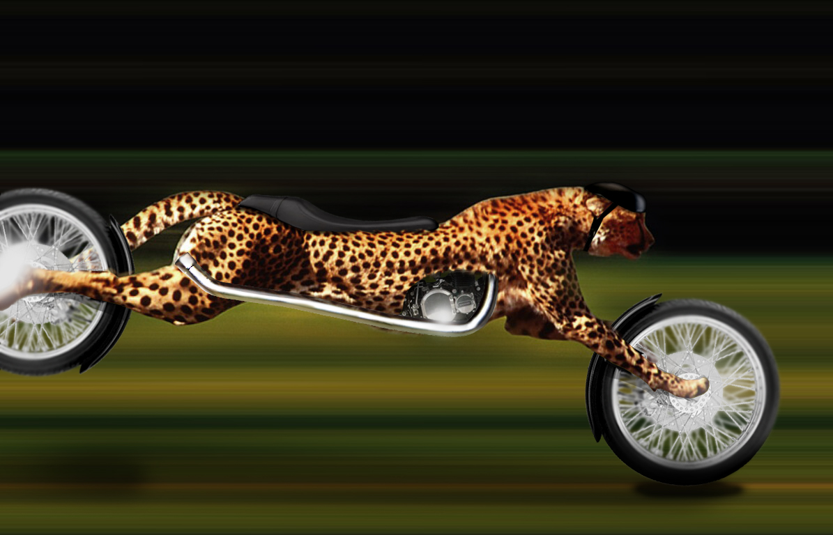 Photoshop Design by zshane for DesignCrowd (Community Contests) | Design #9014466