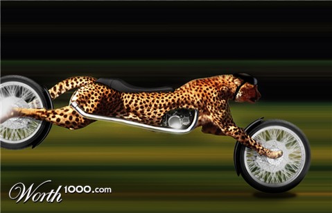 Photoshop Design by zshane