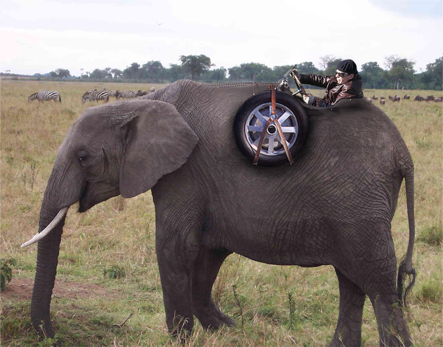 Photoshop Design by Bugsy76 for DesignCrowd (Community Contests) | Design #9014486