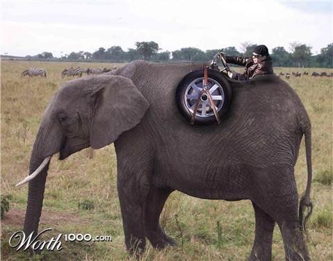 Photoshop Design by Bugsy76