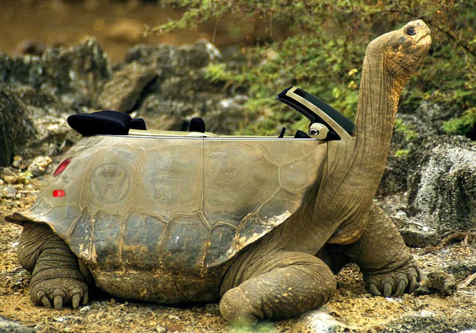 Photoshop Design by nicolebizzle for DesignCrowd (Community Contests) | Design #9014475