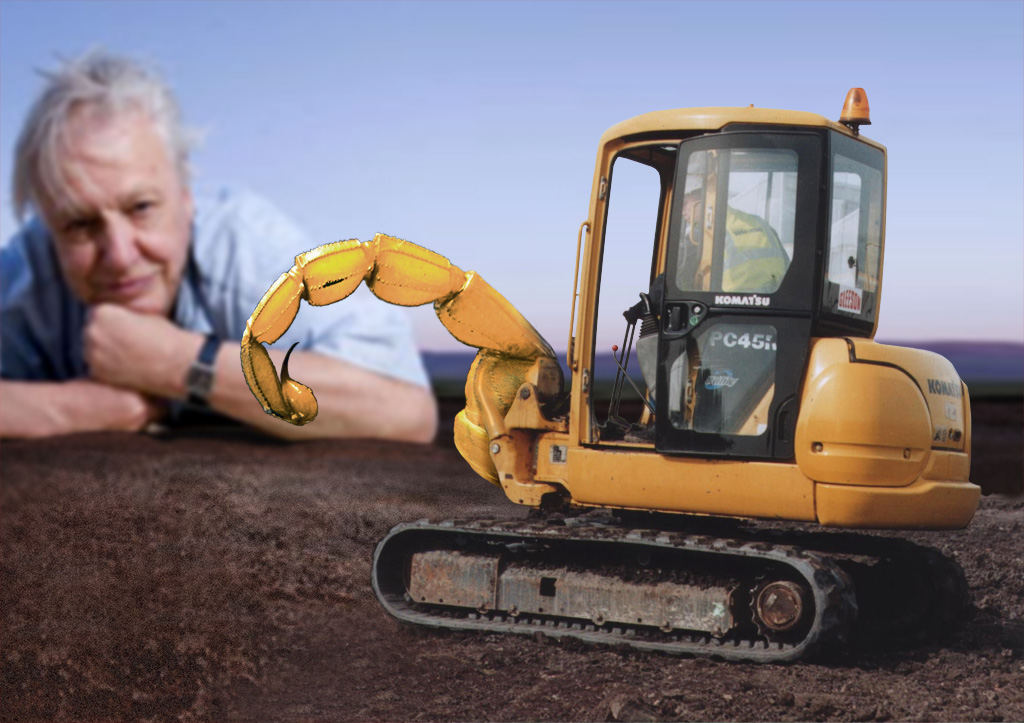 Photoshop Design by mzpresto for DesignCrowd (Community Contests) | Design #9014483