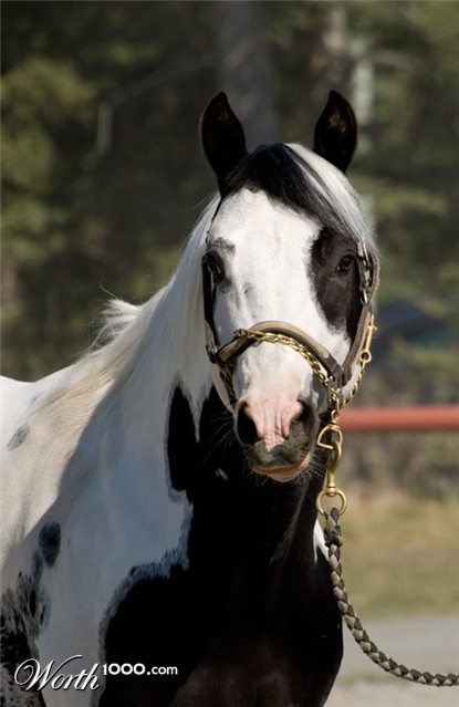 Photography by georgethedog