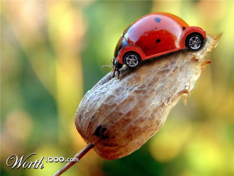 Photoshop Design by rameezie