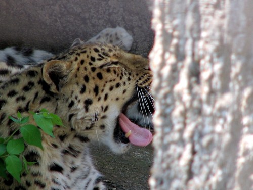 Fotografie von timpeeler37 für DesignCrowd (Community Contests) | Design #9012628