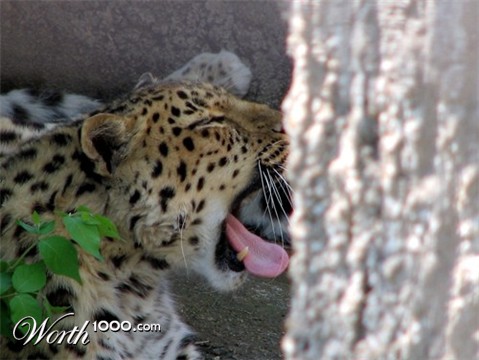 Photography by timpeeler37