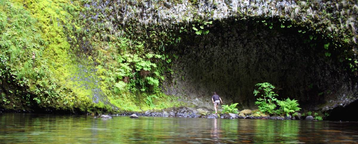 Fotografie von DaftGretel für DesignCrowd (Community Contests) | Design #9006607