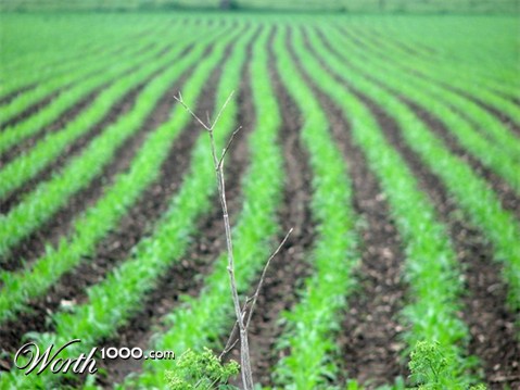 Photography by timpeeler37