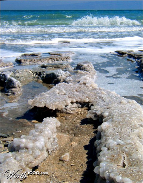 Photography by MammaBee