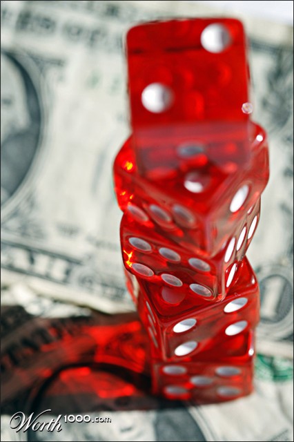 Photography by inshaala