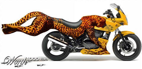 Photoshop Design by lasvegaspapillon