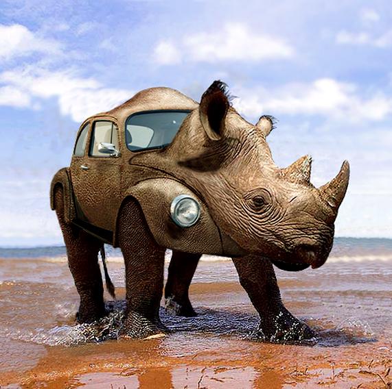 Diseño de Photoshop por Mandrak para DesignCrowd (Community Contests) | Diseño #9014557