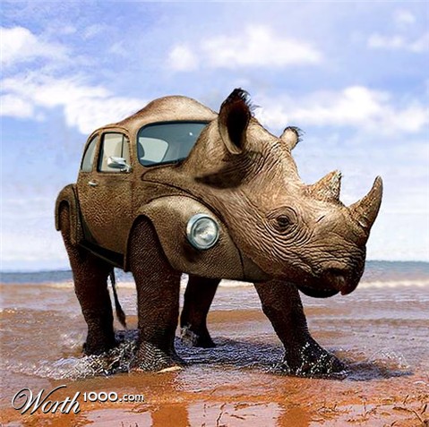 Photoshop Design by Mandrak