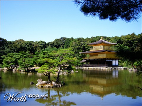 Photography by Flimzer