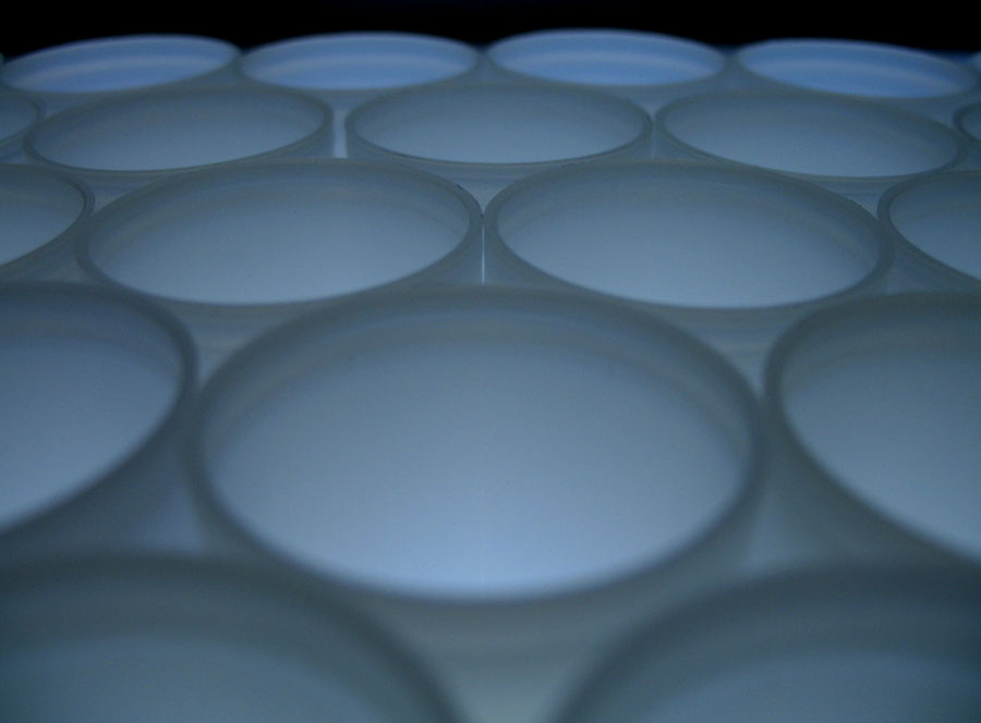 Photography by AvedaRose for DesignCrowd (Community Contests) | Design #9012200