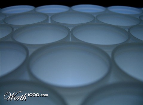 Photography by AvedaRose