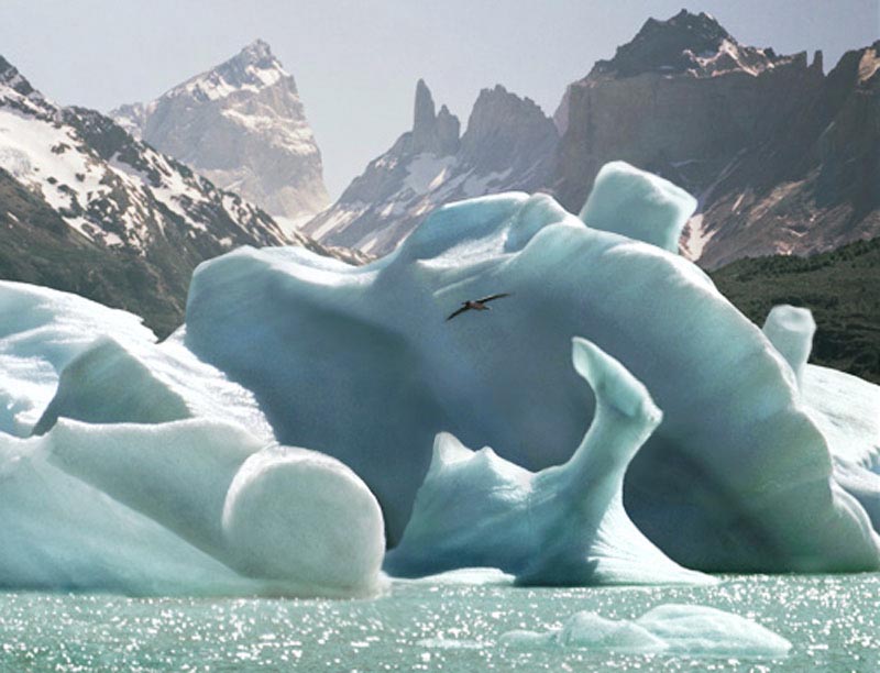 Photoshop Design by magami for DesignCrowd (Community Contests) | Design #9016984