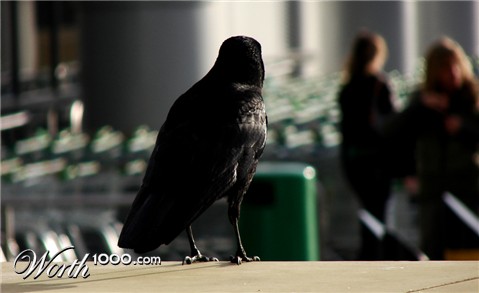 Photography by palegothicangel