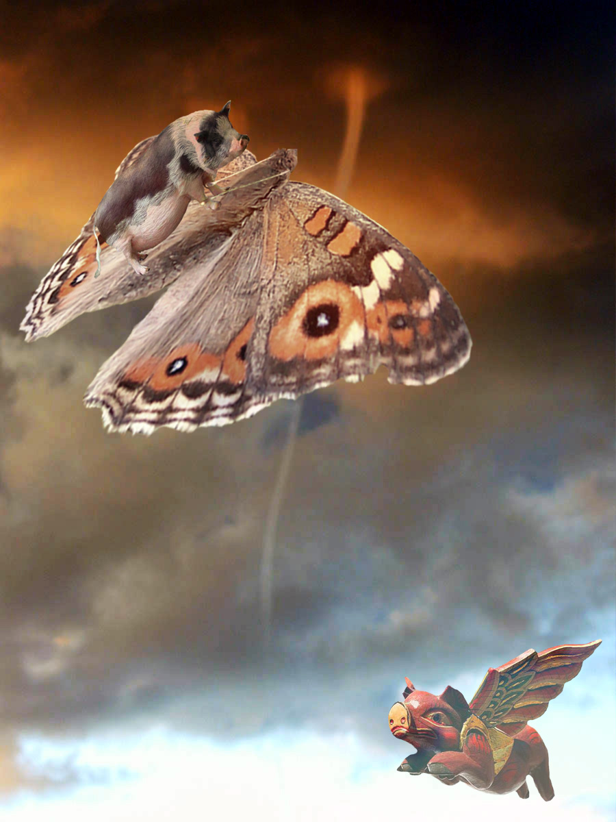 Photoshop Design by padawan71 for DesignCrowd (Community Contests) | Design #9017011