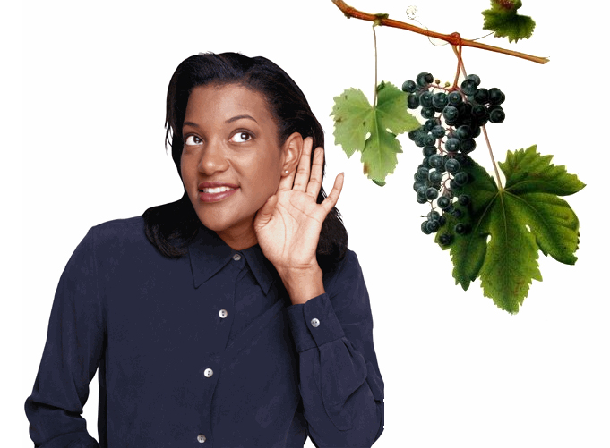 Photoshop Design by mzpresto for DesignCrowd (Community Contests) | Design #9005867